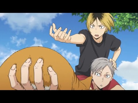 Kenma and Lev save a cat