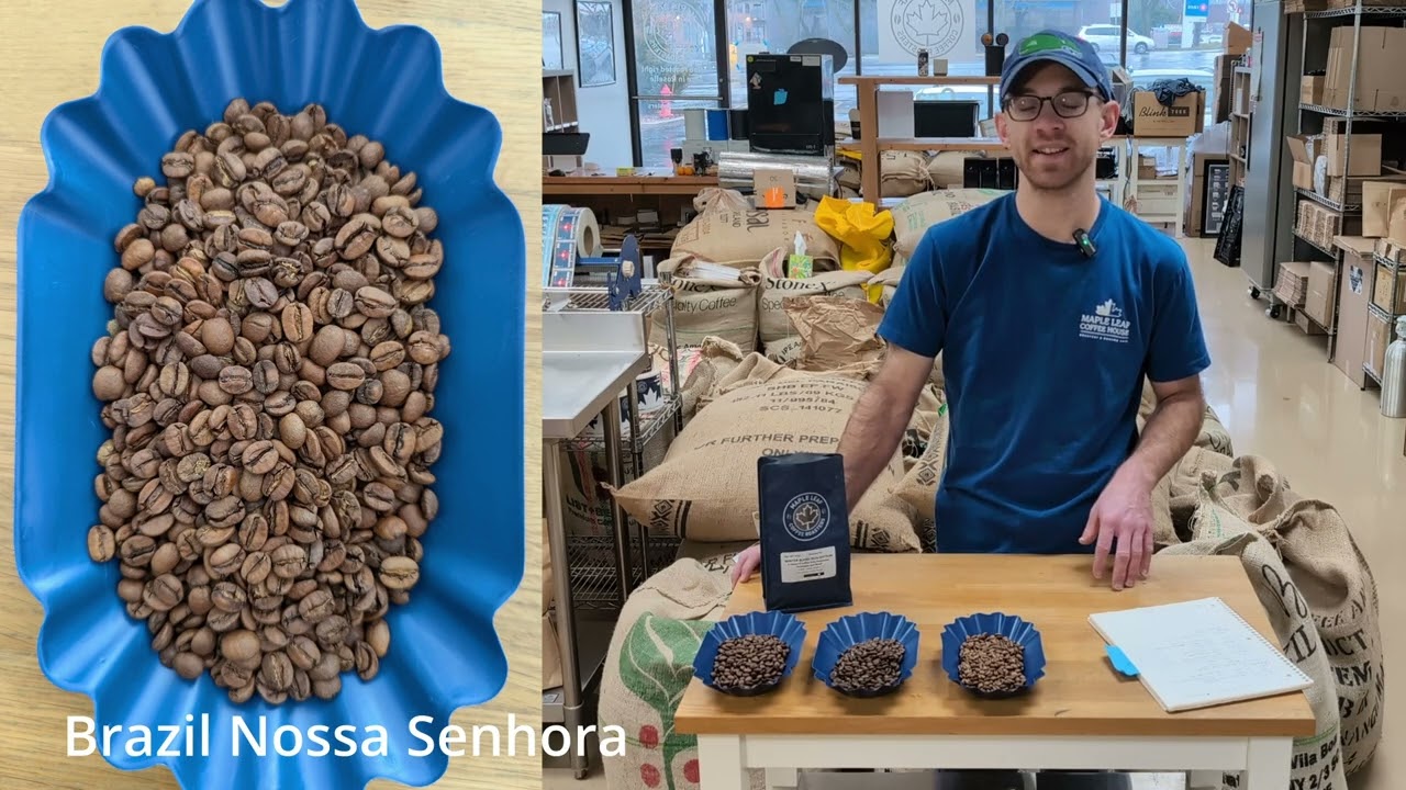 Winter Blend 2024 Edition (Dark Roast)