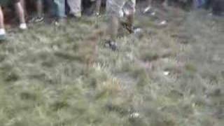 Cornerstone 2006 Moshpit Montage