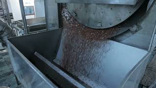 PEANUT ROASTER - INFRA RAY BATCH ROASTER - PEANUT ROASTING MACHINE