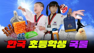 한국 초등학생이라면 무조건 해본 것 TOP10 | 입시덕후