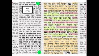 נזיר מה דף יומי מסכת נזיר דף מה Dafyomi Nazir 45 שמואל נבון