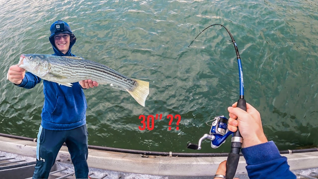 Non Stop Keeper Striper Fishing!! Bay Area Fishing YouTube