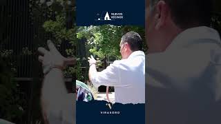 Cap. 1 | Entrevista exclusiva a Martin Virasoro | El origen Net Worth
