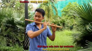 Giận mà Thương : Dân Nghệ An, Hà Tĩnh Nghe Là Muốn Về Quê