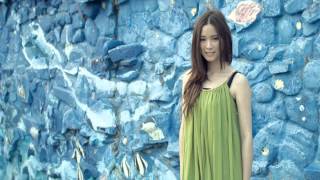 狂風裡擁抱 幸福了然後呢2013臺北最High新年城跨年晚會20121231/A LIN