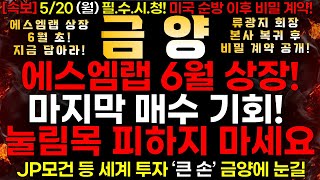 [금양] 5/20 (월) 에스엠랩 6월 상장! 