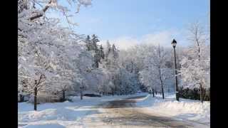 The winter of 2014 is one to remember: icestorm, snowstorm, icequake,
frostquake, wind chill and lots very cold weather. here are some
wintry photos taken...