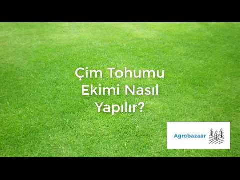 Video: Çimenlerinizi Fazla Tohumlamak İçin İpuçları - Çimlere Ne Zaman ve Nasıl Tohum Ekmeli