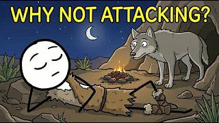 Why Wild Predators Never Attack Sleeping Humans?