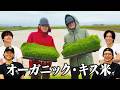Kis-My-Ft2【キス米】オーガニック米作りプロジェクト始動!!