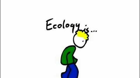 Ecology is...