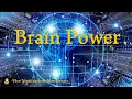 Brain power  creative insights  study  concentration  focus  memory