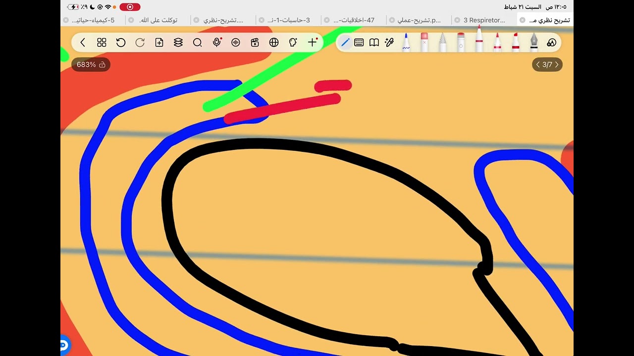 Anatomy of the heart