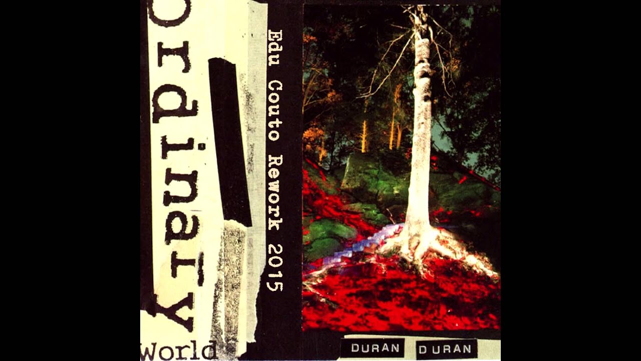 Duran duran ordinary world