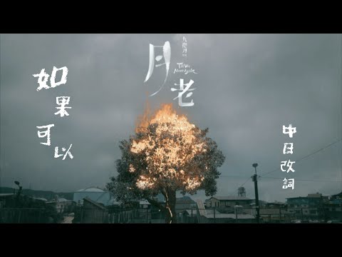 《如果可以 Red Scarf》MV 日文改詞 - 電影「月老」Till We  Meet Again 主題曲 - 中日歌詞付