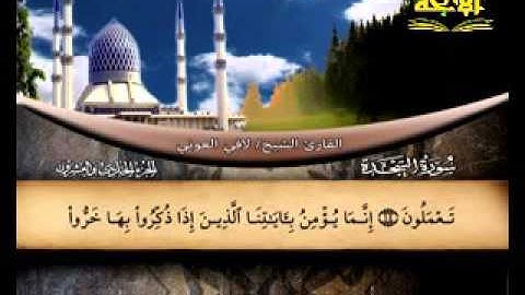 سورة السجدة (قناة الأترجة) للشيخ لافي العوني قراءة خاشعة
