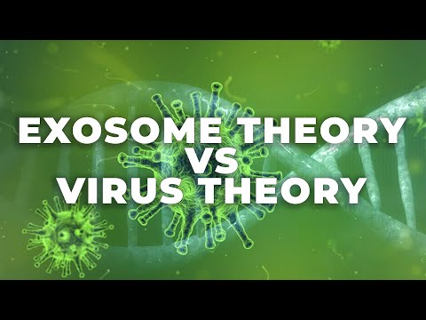 Exosome Theory VS Virus Theory | In Depth Explanation