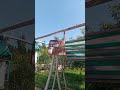 Batair ki awaaz/Quail bird sonds/бадана сойроки/صدای مادی بلدر چین/بٹیر کی آواز#shortsvideo