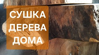Термодерево своими руками. Сушка древесины в духовке.