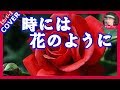 時には花のように 真木柚布子  Cover by Sammy 新曲 2020年4月22日発売