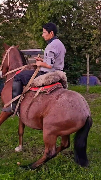 ️ PIDIENDO UNA PARADA SIN PERDER EL CONTACTO‼️ YouTube