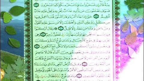 القران الكريم سورة هود من الاية 29 الى الاية 45