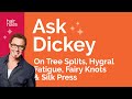 Ask Dickey! E55: On Tree Splits, Hygral Fatigue, Fairy Knots & Silk Press