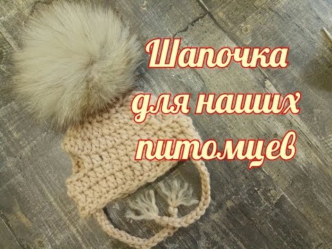 Шапочка для наших питомцев