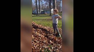 The Murph Experience Fall Leaves