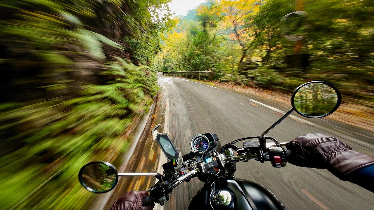 Riding through the Yakushima Rainforest