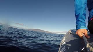 Male Humpback Whale Song, Maui 25th Dec 2017 - Part 1 by Tom Scrace 52 views 6 years ago 11 minutes, 51 seconds