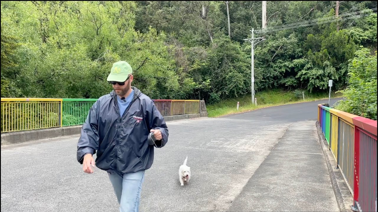 Южный Хобарт: Раскрытый, часть III - Конец