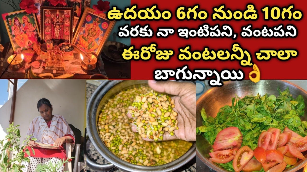 ఇక్కడ చలి చాలా వరకు తగ్గింది🤗ఇప్పుడు డే చాలా productive గా ఉంటుంది/ఉదయం 6గం నుండి 10గం వరకు..