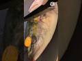 Most Satisfying Amberjack Fish Cutting Skills l 😍 l #shorts #viralshorts #fishcutting #amberjack