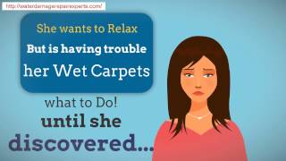 chicago water Restoration for wet carpets (312) 646-4460