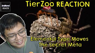 Details Elemental Type Moves - The Secret Meta | TierZoo | ImBumi Reaction News