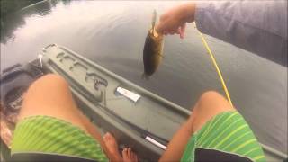 Summer bass on Huddleston swimbait and spinnerbaits 