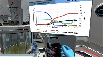 Sci 250 Fermentation: Optimize bio-ethanol production