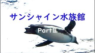 ペンギンが空を飛ぶ！【サンシャイン水族館 Part Ⅱ】Penguins fly in the sky！