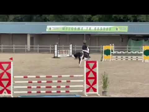 Rex Ter Linden clear in the qualification for the belgium championship in Gesves