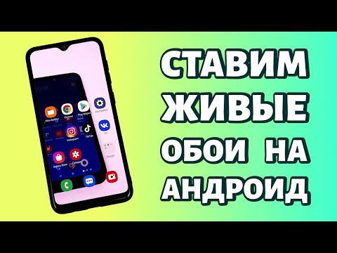 Как установить живые