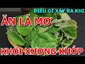 Điều Gì Xảy Ra Khi ĂN LÁ MƠ Mỗi Ngày? KHỎI XƯƠNG KHỚP, KHỎI HUYẾT ÁP, Làm Sạch LÁ GAN, KHỎE THẬN