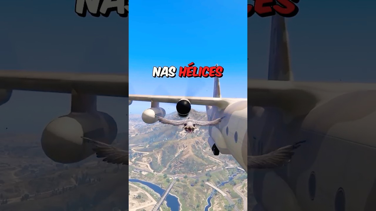 UM PÁSSARO CONSEGUE ATRAVESSAR A HÉLICE DO AVIÃO?