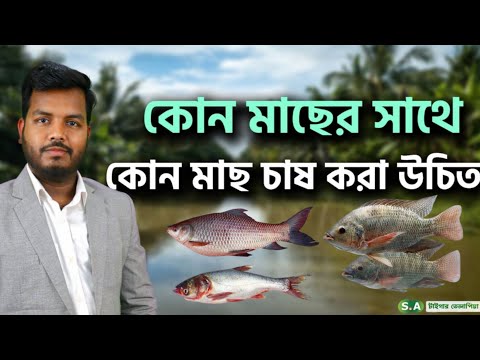 ভিডিও: কেলফিশ কি কেল্প বনে বাস করে?