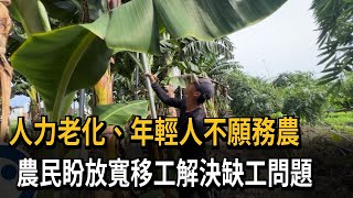 人力老化、年輕人不願務農　農民盼放寬移工解決缺工問題－民視新聞