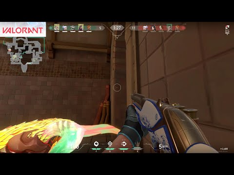 【valorant】一般通過イッヌ