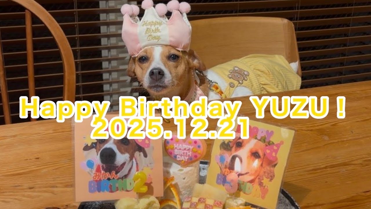 祝！ゆずちゃんお誕生日旅行2025