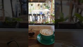 This Coffee Could Only Be Made in Bohol!  #bohol
