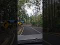 SUASANA HUTAN DI JALAN NARINGGUL CIANJUR SELATAN